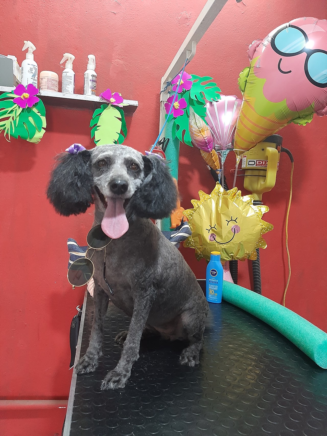 Fachada exterior del Centro Veterinario Resistencia con pérgola de madera y clientes esperando cómodamente